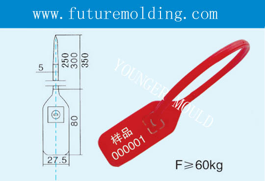 Plastic Metal Seals Mould